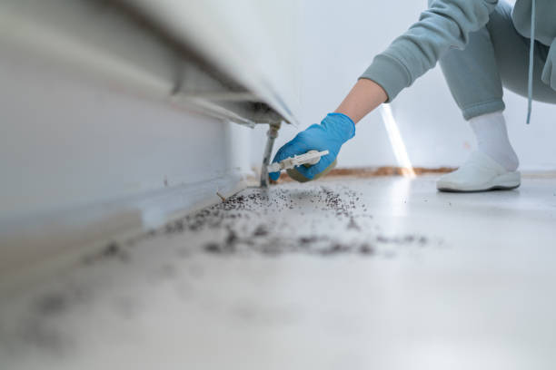 Best Exterminator Services  in Whiteriver, AZ